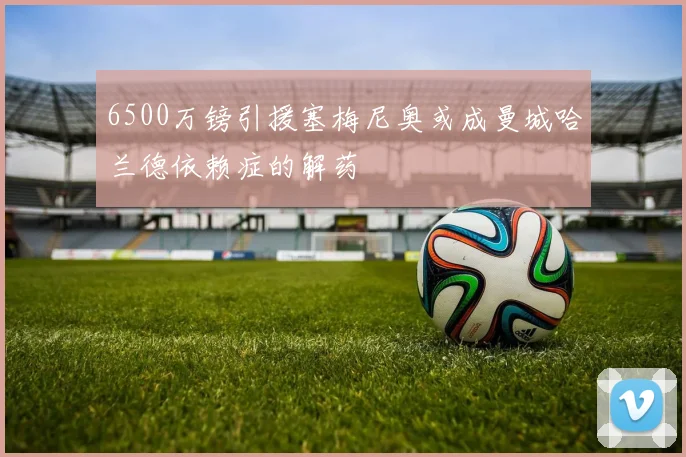 6500万镑引援塞梅尼奥或成曼城哈兰德依赖症的解药