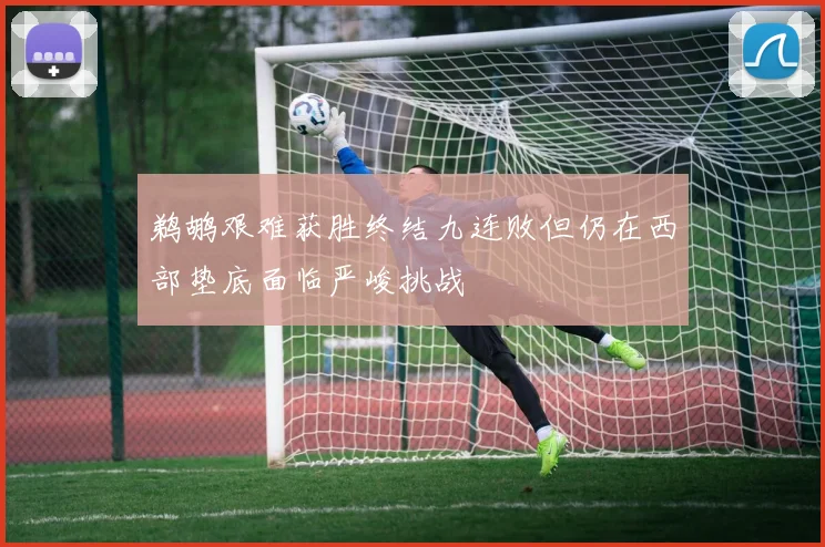鹈鹕艰难获胜终结九连败但仍在西部垫底面临严峻挑战